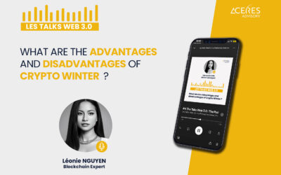 What are the advantages and disadvantages of Crypto Winter?