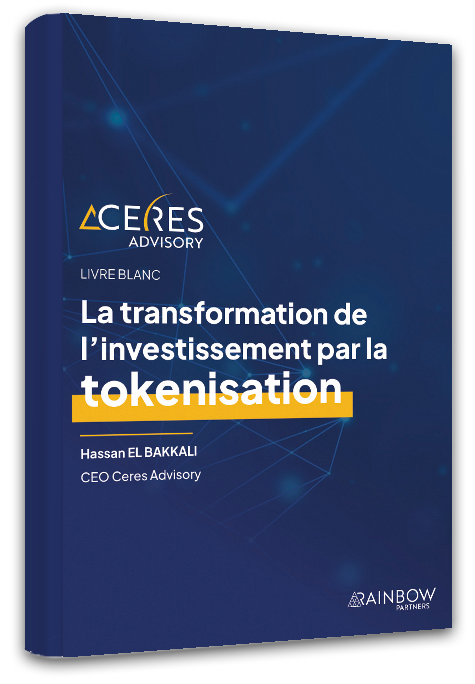 livre-blanc-transformation-investissement-tokenisation-ceres-advisory-conseil-web3-web-blockchain